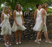 The party of bridesmaids